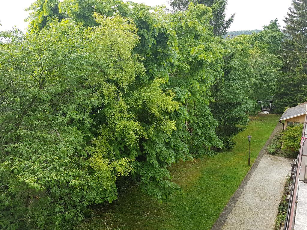 Helenental Pension&Apartments Baden Extérieur photo